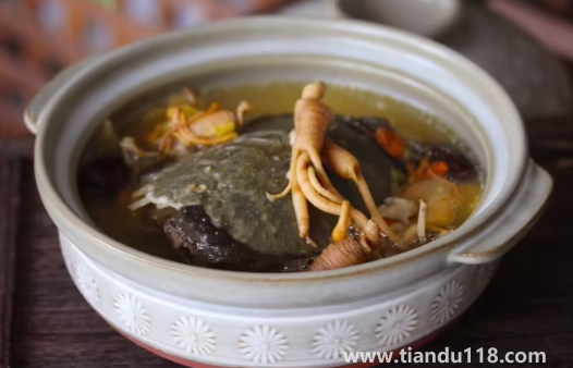 甲魚湯怎么做好喝又營(yíng)養(yǎng)（甲魚湯的功效與作用）