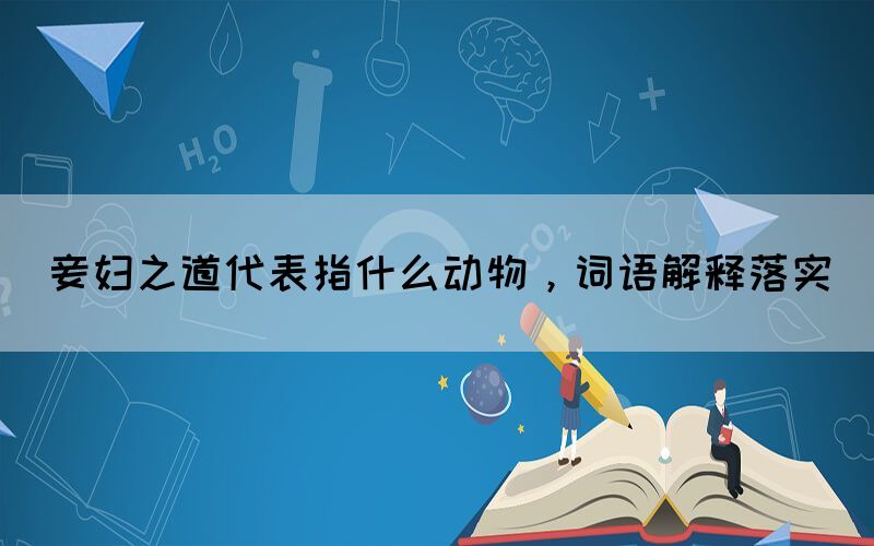 妾婦之道代表指什么動物，詞語解釋落實(圖1)